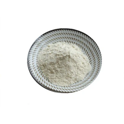 Probiotikum Bacillus Coagulans