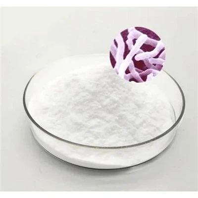 Probiotikum Bifidobacterium Lactis