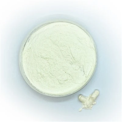 Lactobacillus Paracasei